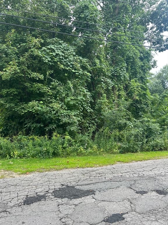 56 Birch Hill Rd, Douglas MA 01516