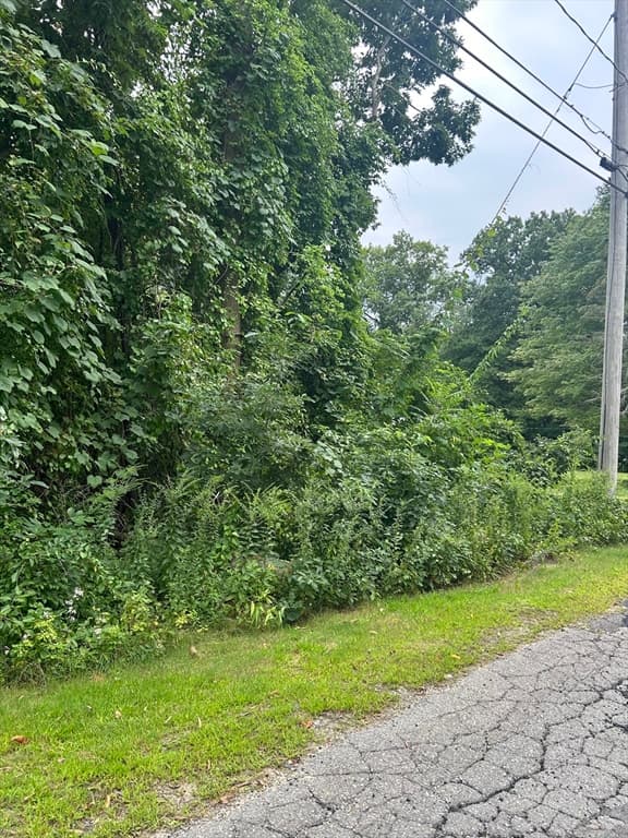 56 Birch Hill Rd, Douglas MA 01516 photo 4