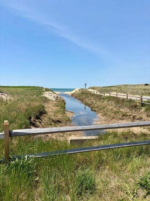 65 Pilgrims Path, Eastham MA 02642 photo 36