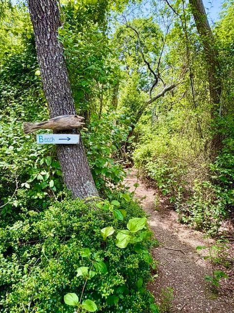 65 Pilgrims Path, Eastham MA 02642 photo 39