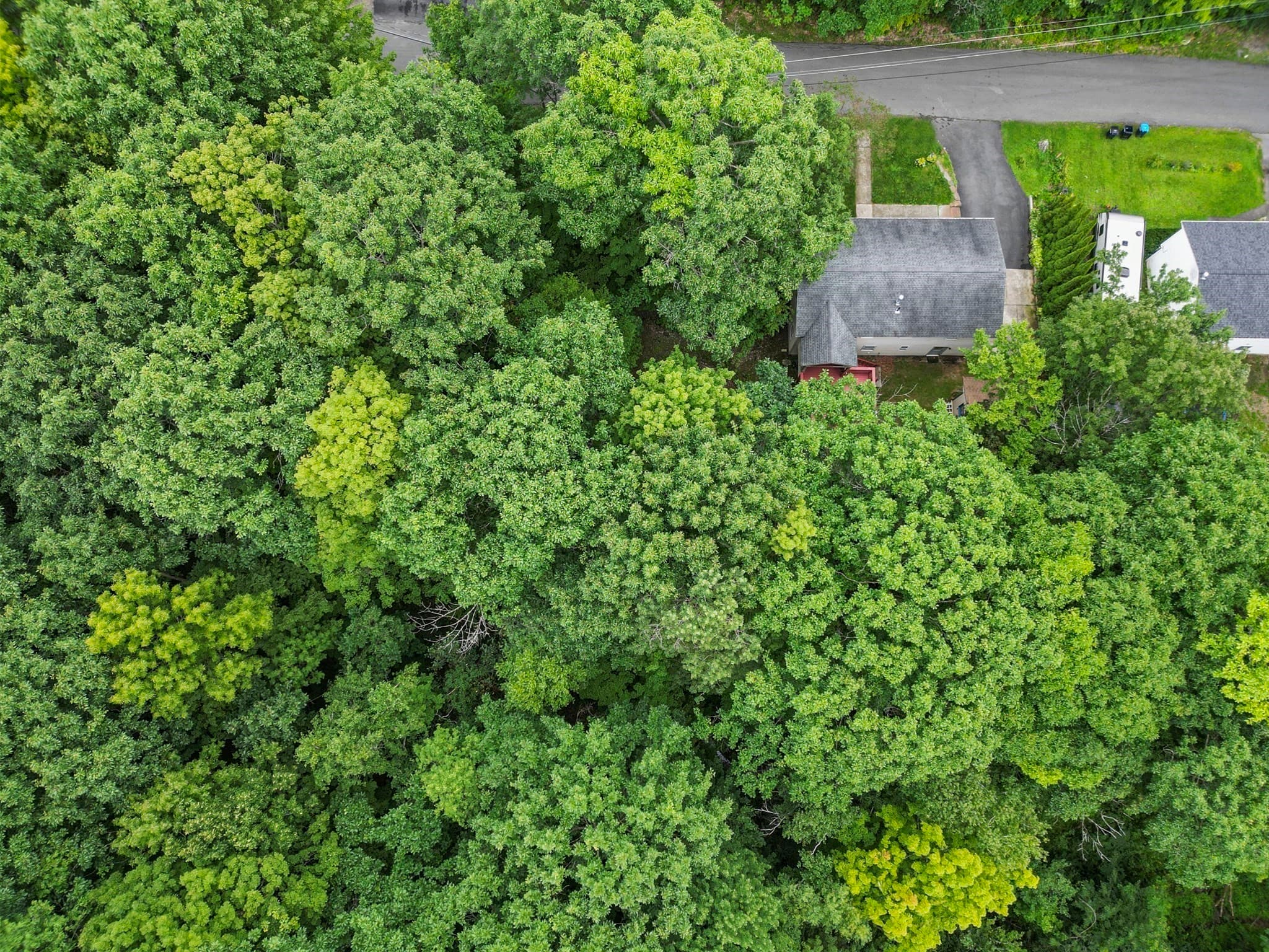 Single Family Residence at 225 Brown St, Pittsfield MA 01201, Pittsfield, photo 9 of 32