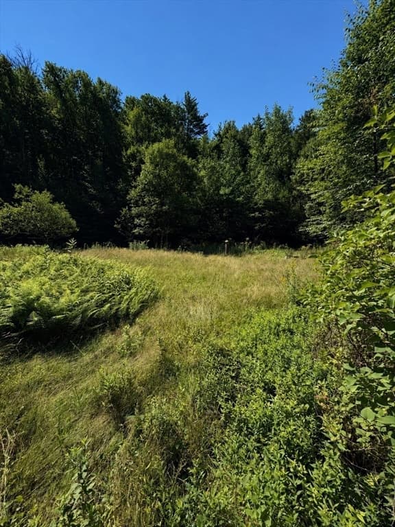 62 E Chestnut Hill Rd, Montague MA 01351 photo 21
