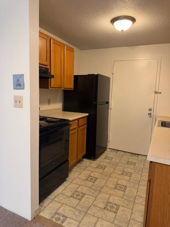 17 Village Rock Lane # 19, Natick MA 01760 photo 2