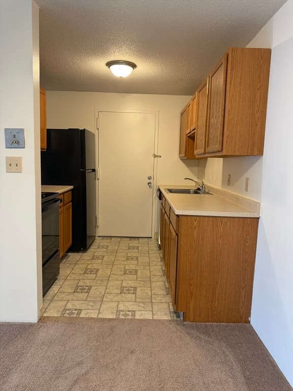 17 Village Rock Lane # 19, Natick MA 01760 photo 4