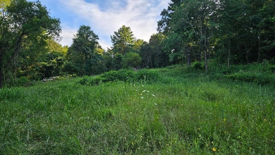 Residential at 35 Blash, Thompson CT 06255, photo 4 of 5