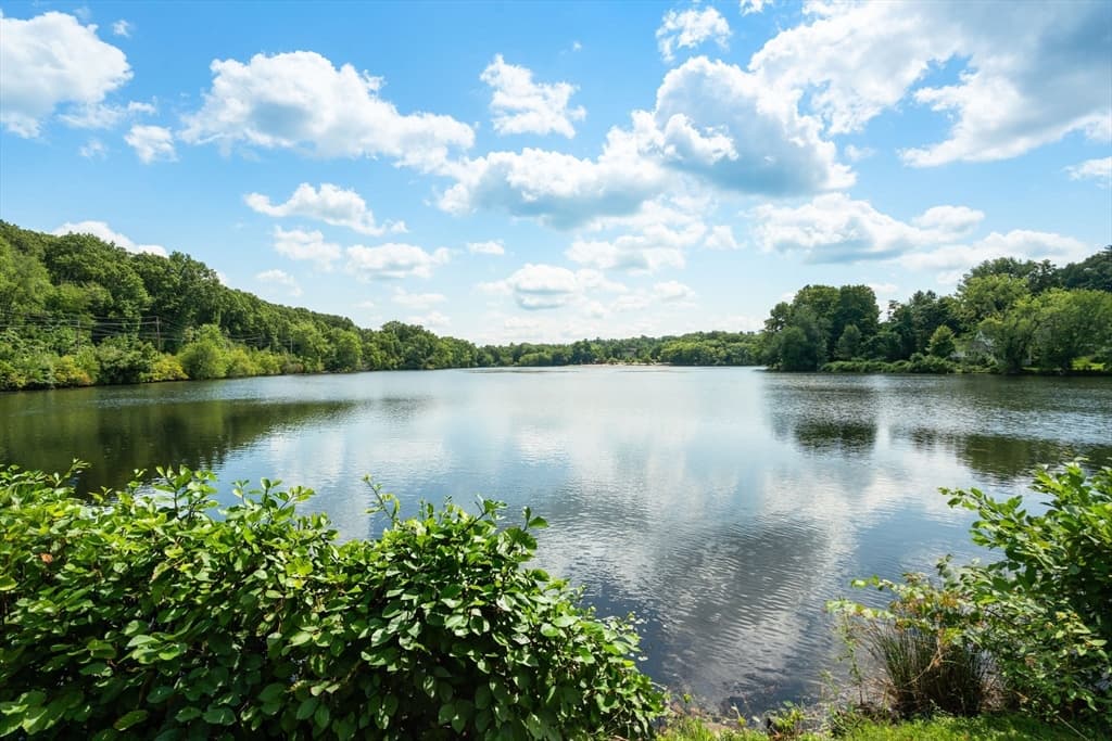 50 Mill Pond # 50, North Andover MA 01845 photo 2