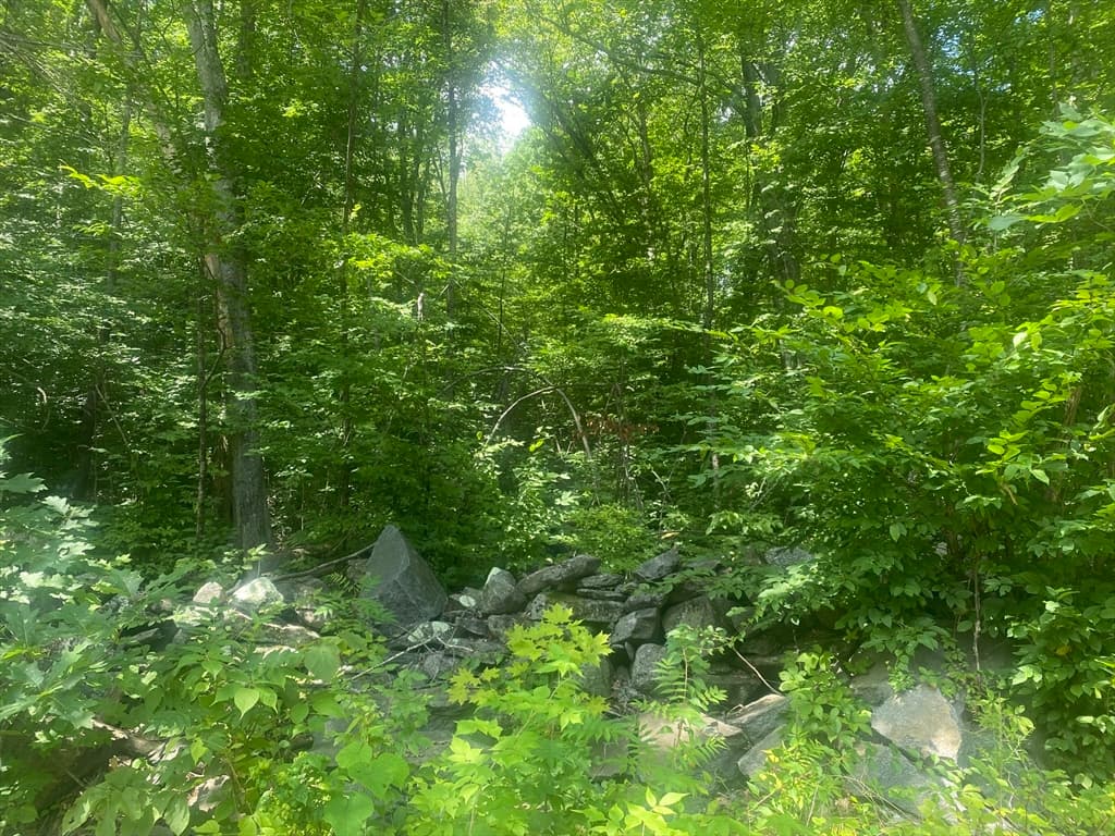 Tract 7 Delargy Rd, Hardwick MA 01037 photo 2