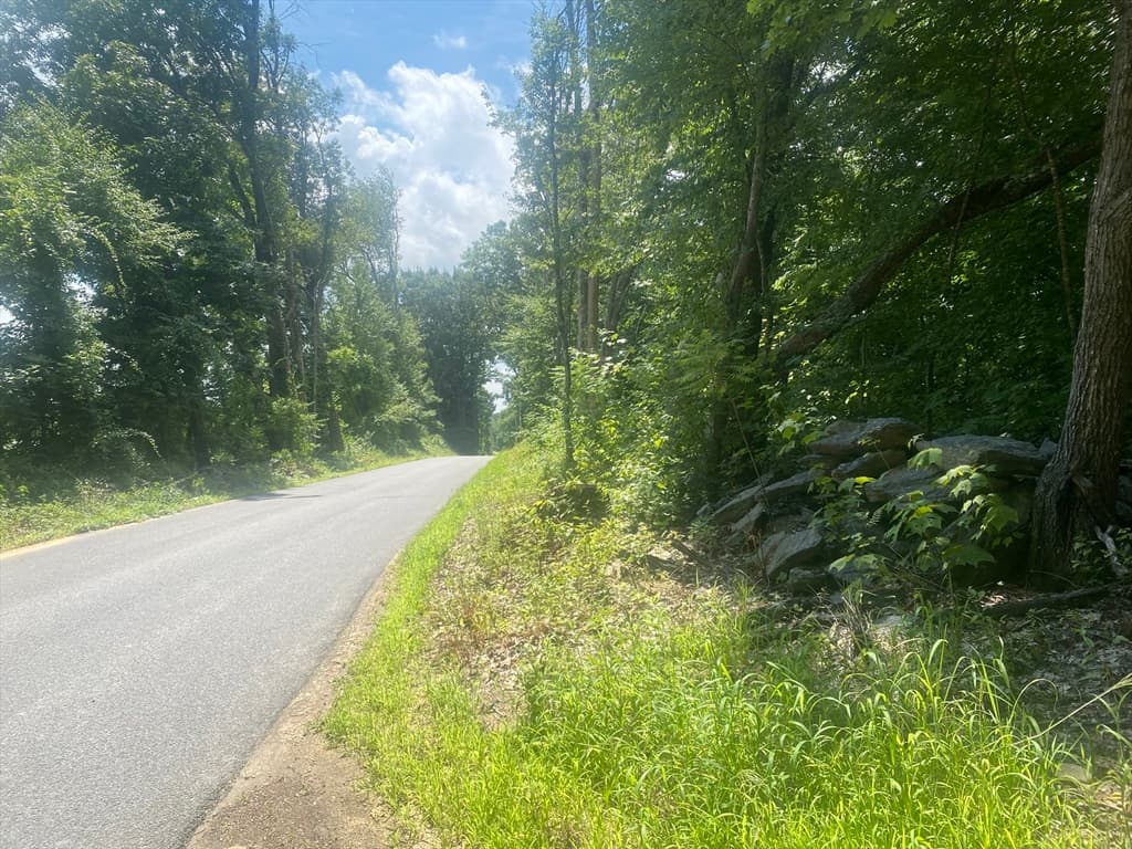 Tract 7 Delargy Rd, Hardwick MA 01037 photo 7