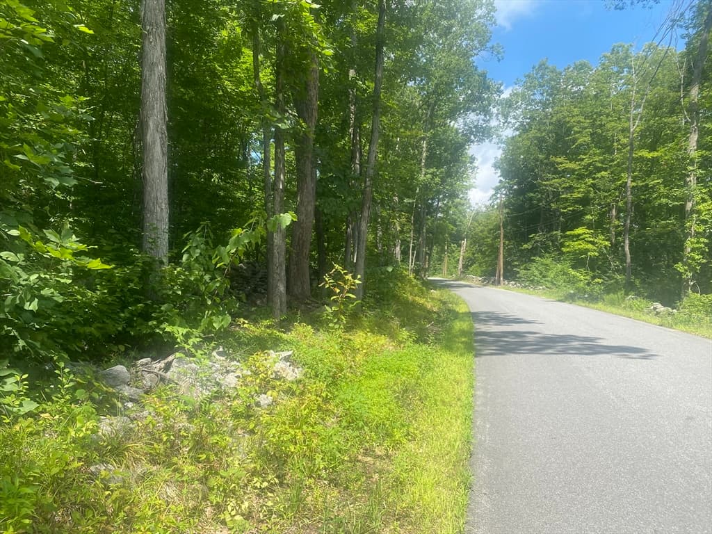 Tract 7 Delargy Rd, Hardwick MA 01037 photo 3