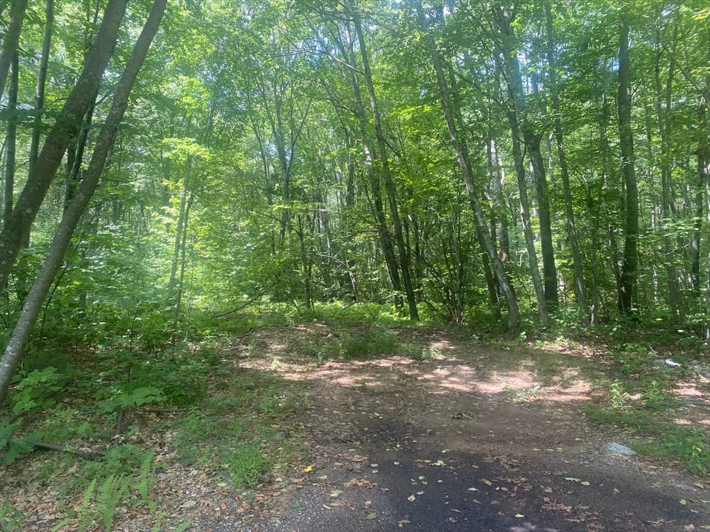 Tract 7 Delargy Rd, Hardwick MA 01037 photo 5