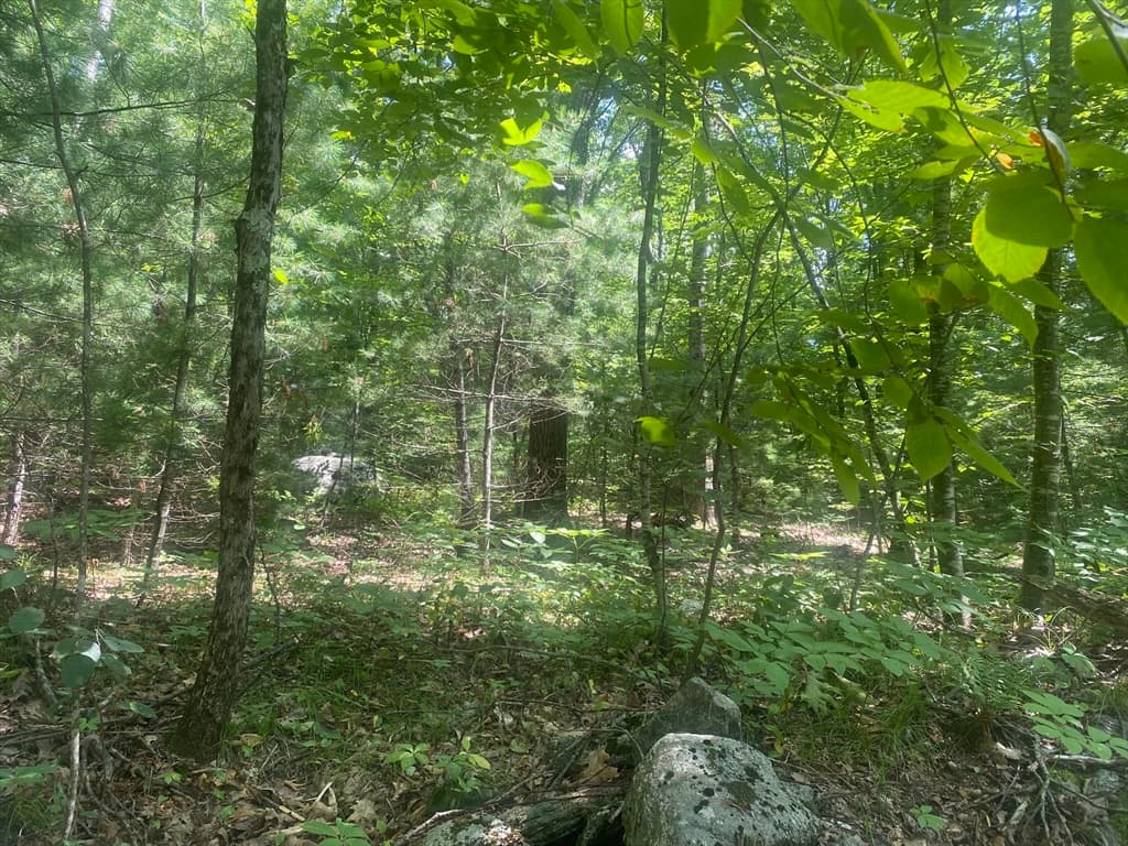 Tract 7 Delargy Rd, Hardwick MA 01037 photo 10