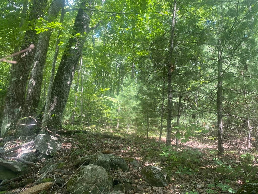 Tract 7 Delargy Rd, Hardwick MA 01037 photo 11