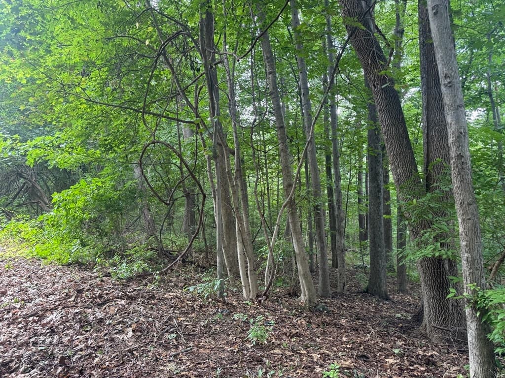 Lot 1 O'neil Dr, Westborough MA 01581 photo 12