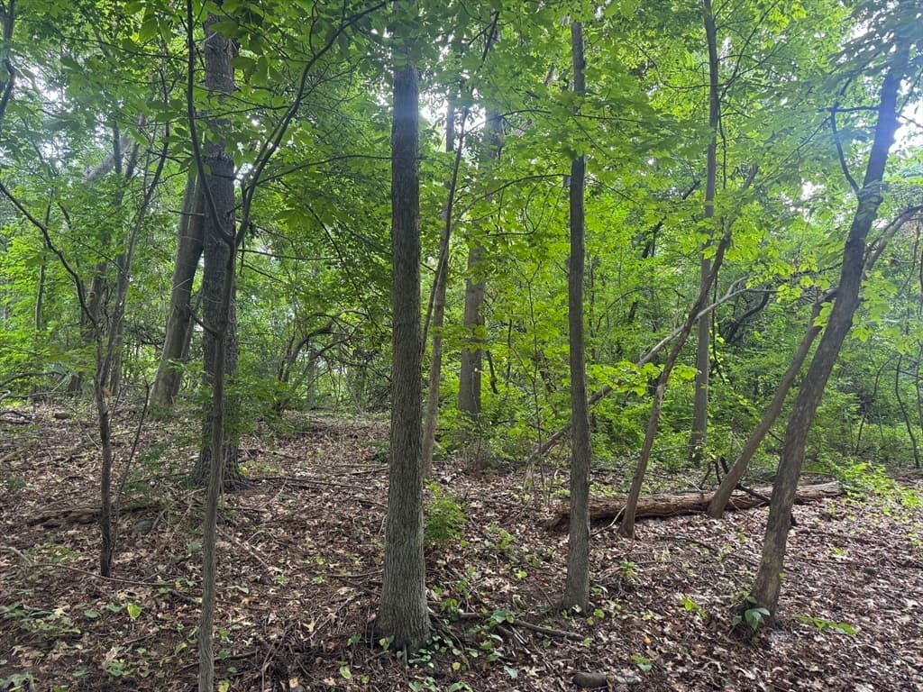 Lot 1 O'neil Dr, Westborough MA 01581 photo 10