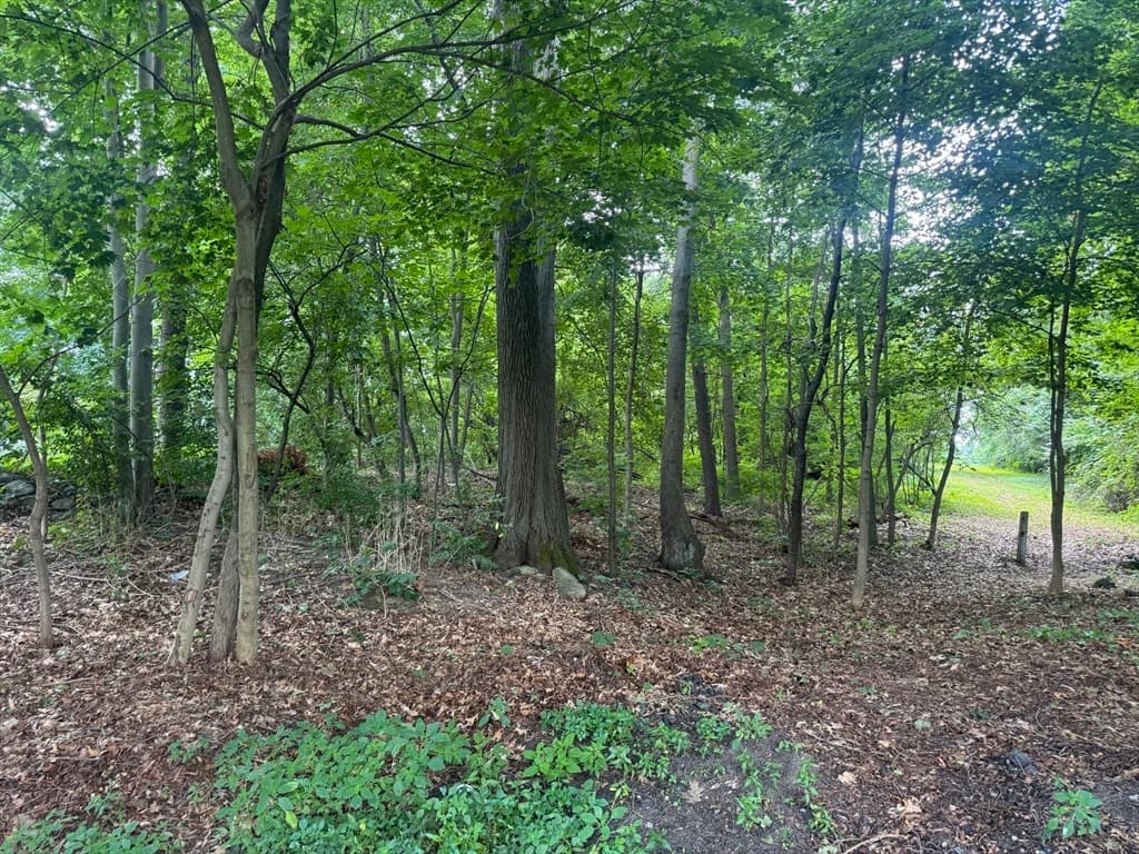 Lot 1 O'neil Dr, Westborough MA 01581 photo 11