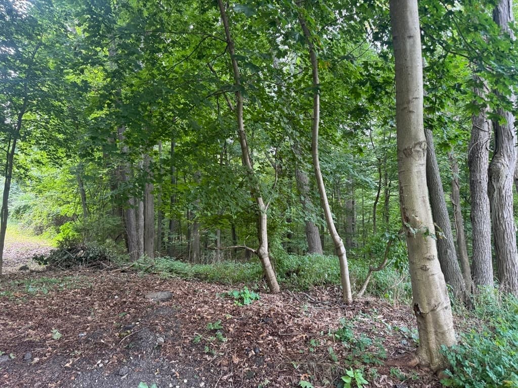 Lot 2 O'neil Drive, Westborough MA 01581 photo 9