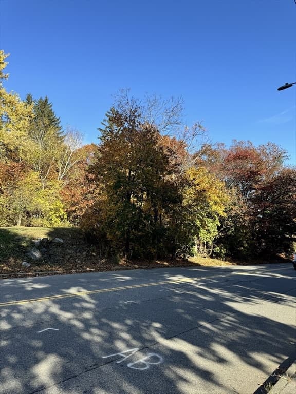 483 Sunderland Rd, Worcester MA 01604 photo 4