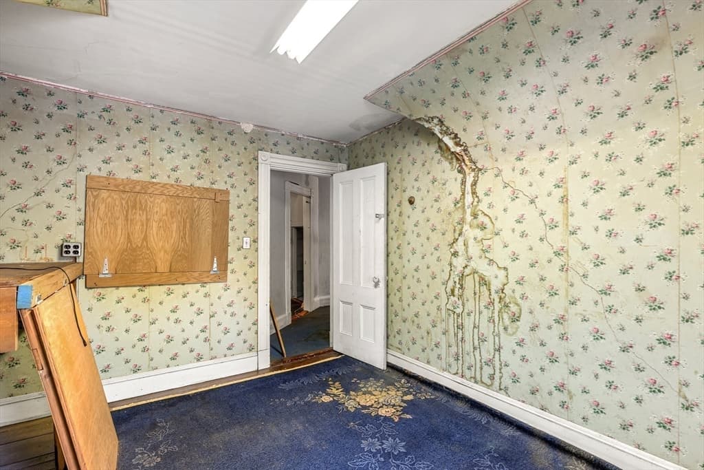 16 Holmfield Ave, Boston MA 02136 photo 21