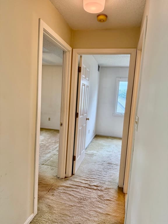 314 Riverside Avenue # 304, Medford MA 02155 photo 17