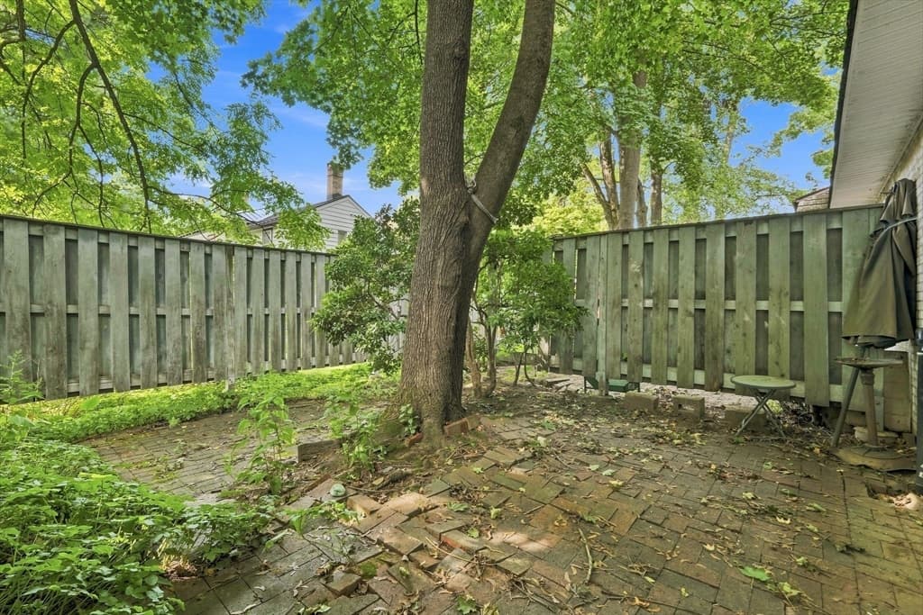 73 Bridge St # 6, Northampton MA 01039 photo 31