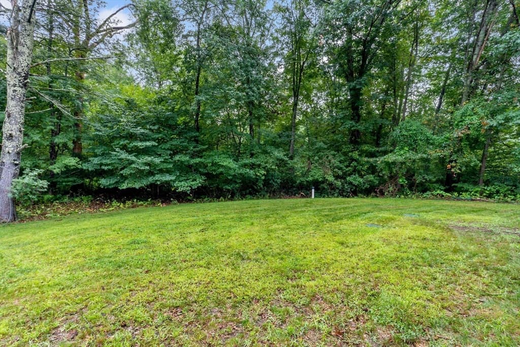 311 Winthrop Street, Rehoboth MA 02769 photo 24