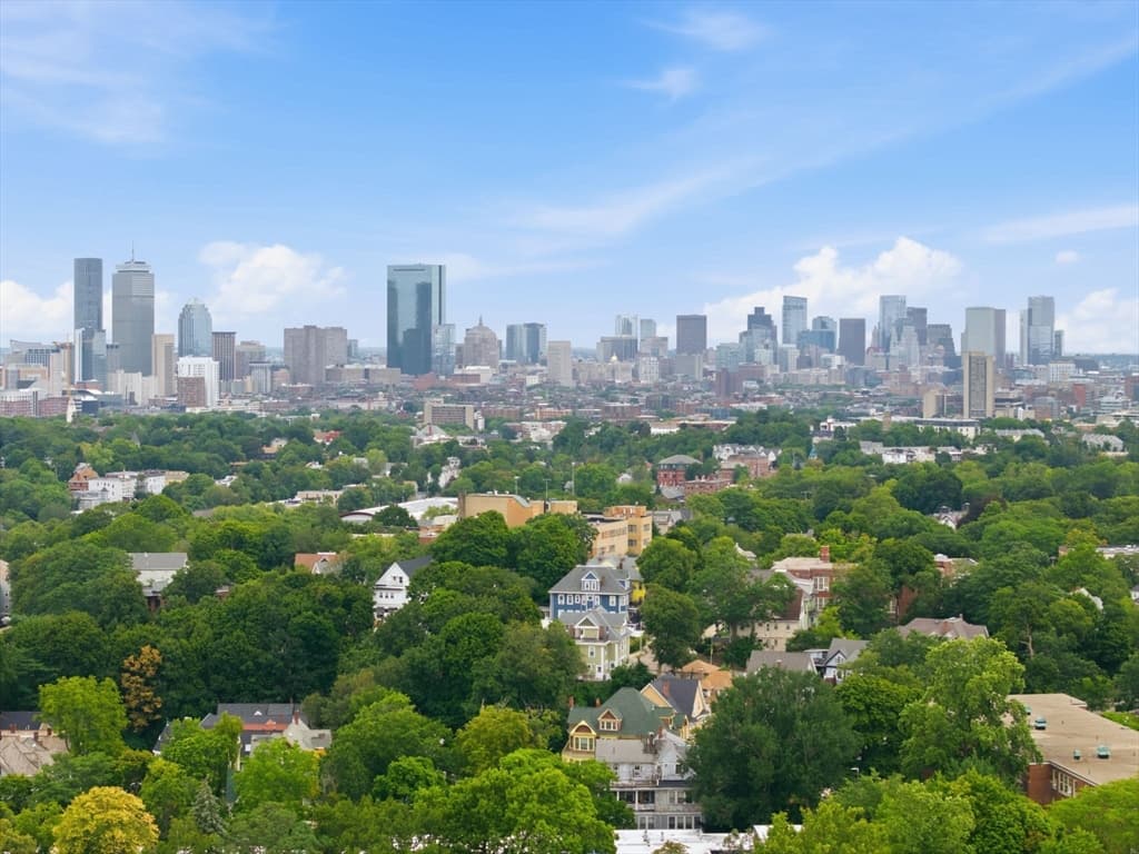 71 Walnut Park, Boston MA 02119 photo 19