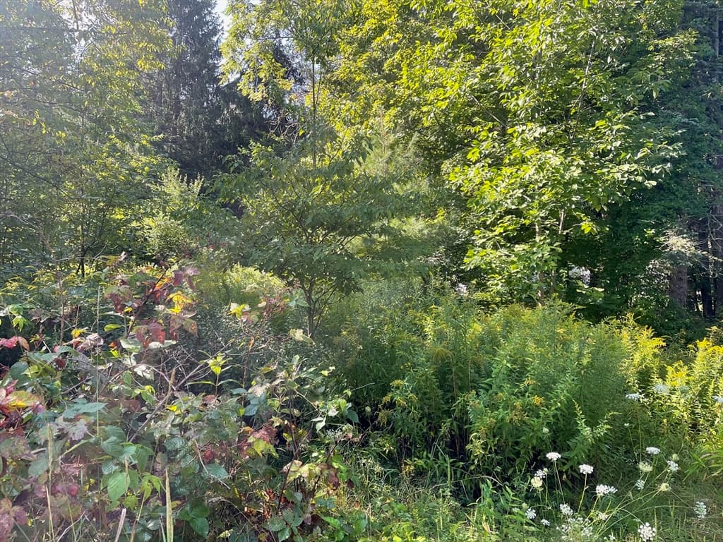 16 Liberty St, Templeton MA 01331 photo 2