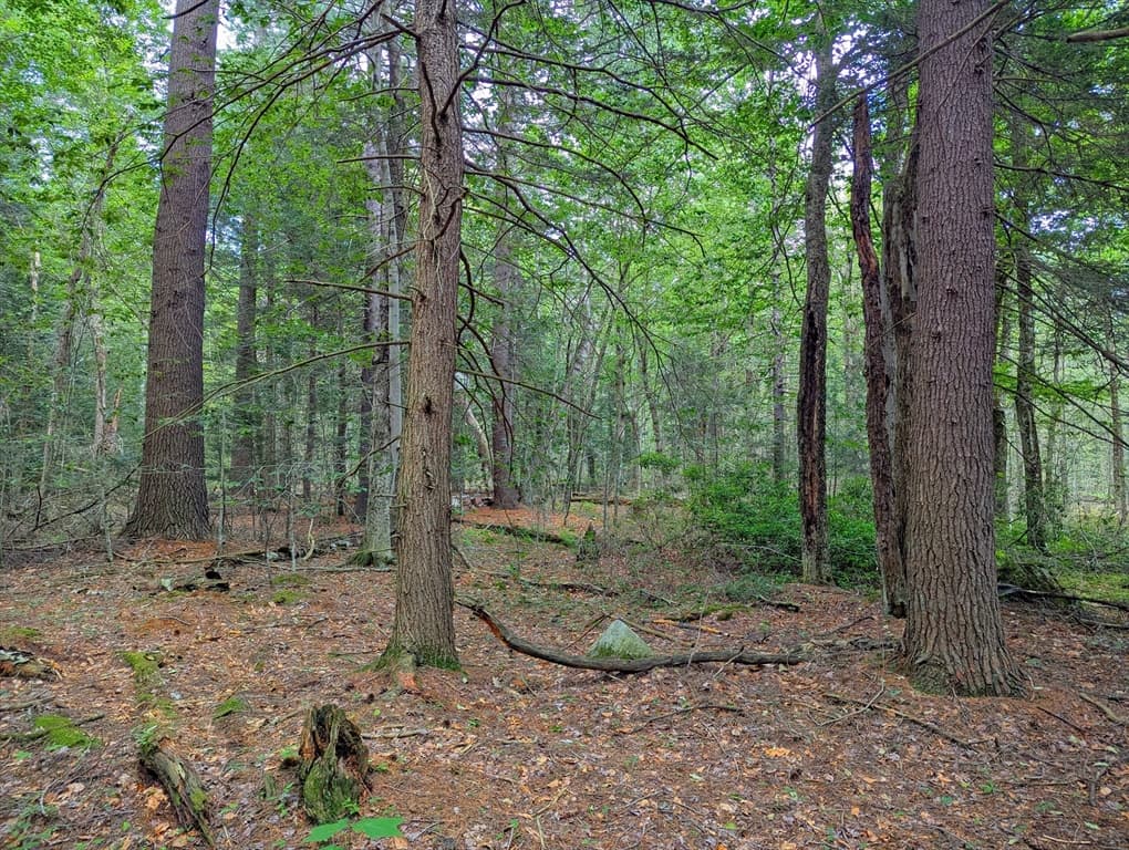 0 Hamilton Rd, Becket MA 01223 photo 7
