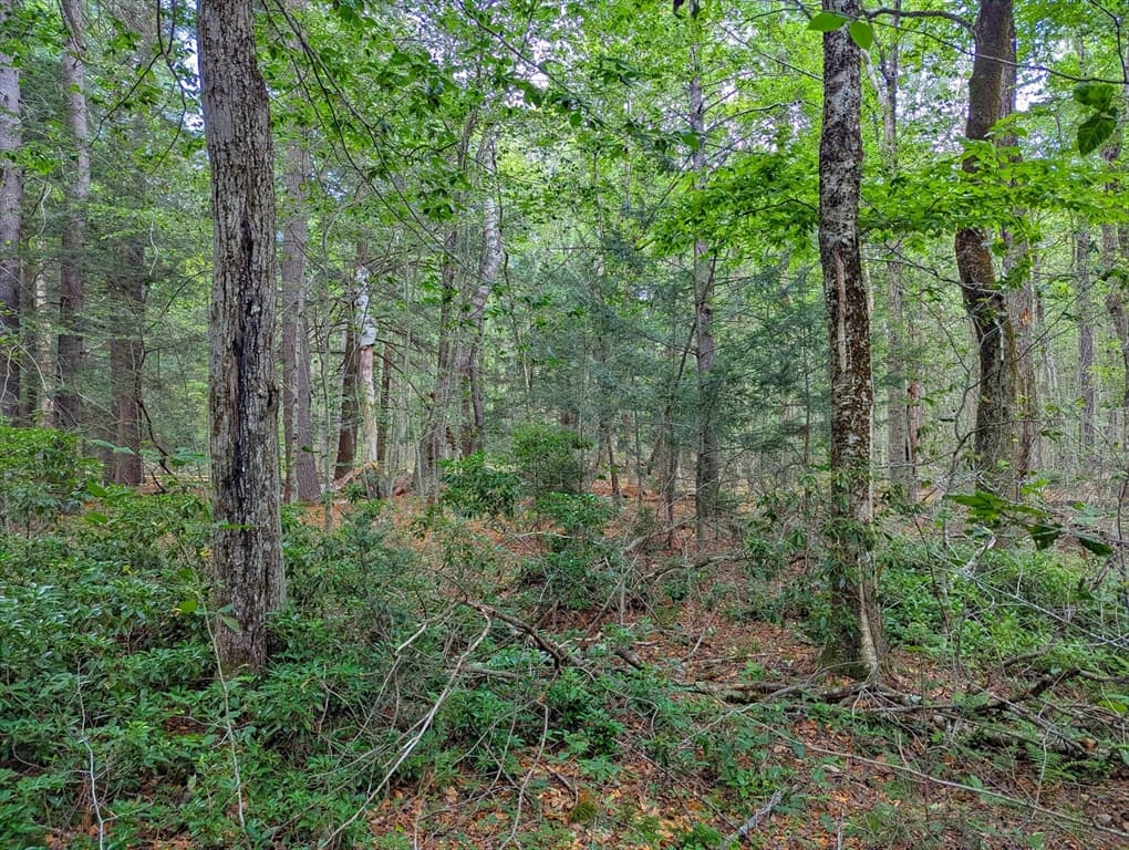 0 Hamilton Rd, Becket MA 01223 photo 5