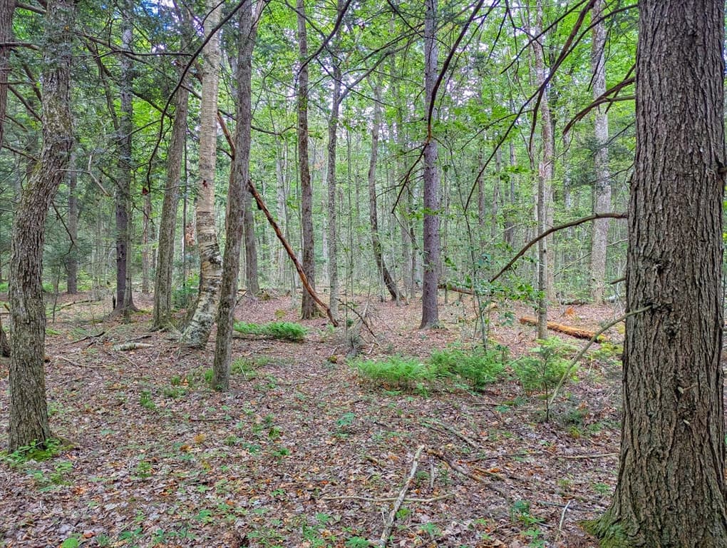 0 Hamilton Rd, Becket MA 01223 photo 9