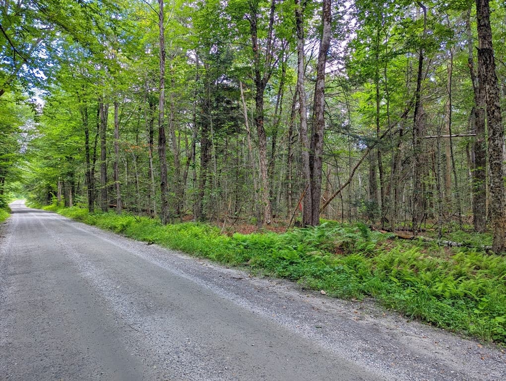 0 Hamilton Rd, Becket MA 01223 photo 10
