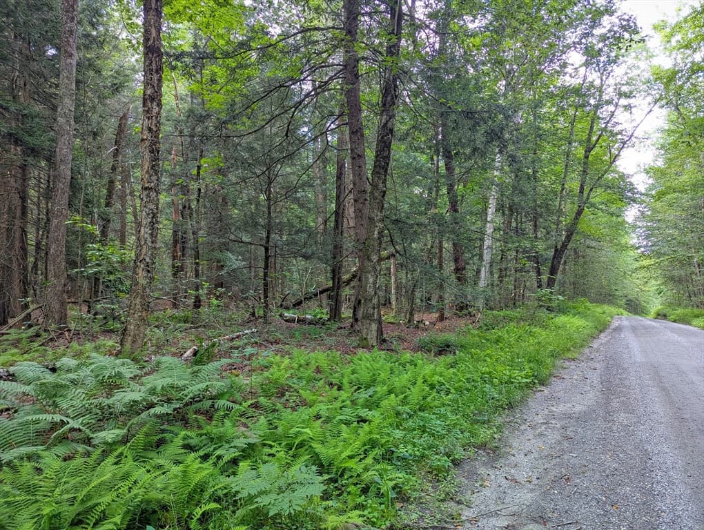 0 Hamilton Rd, Becket MA 01223 photo 4