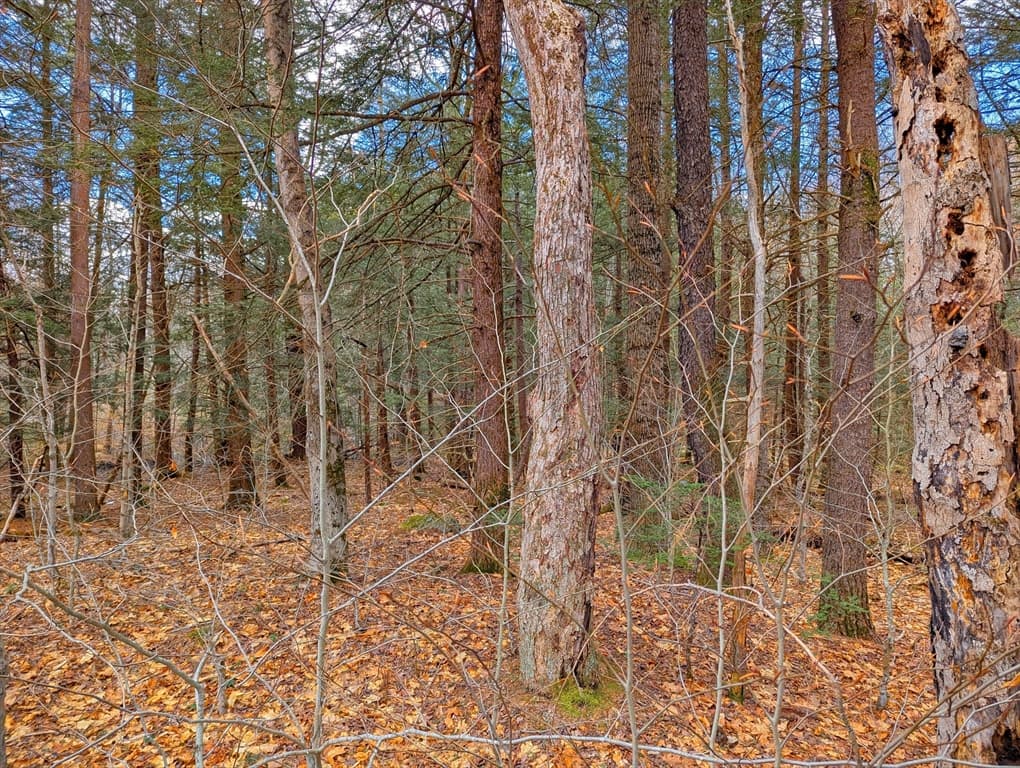 0 Bonny Rigg Hill Rd, Becket MA 01223 photo 12