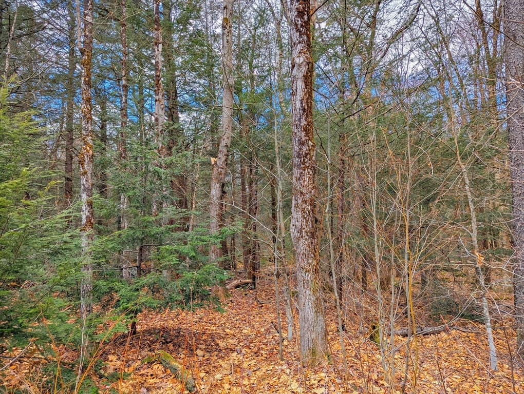 0 Bonny Rigg Hill Rd, Becket MA 01223 photo 7