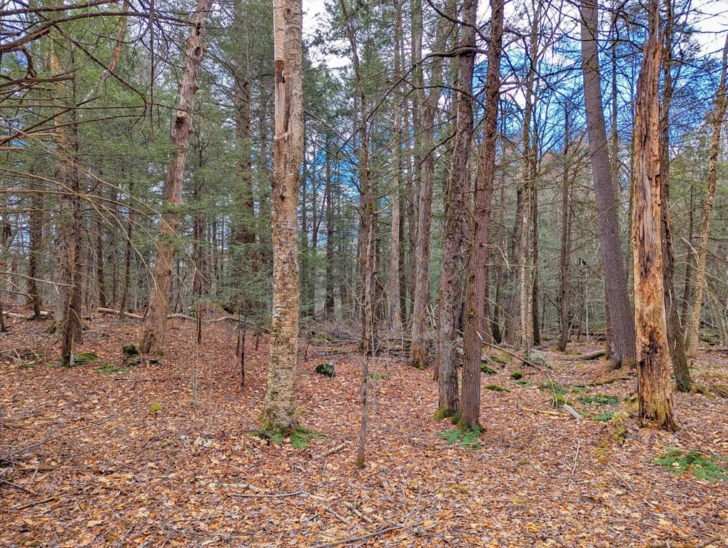 0 Bonny Rigg Hill Rd, Becket MA 01223 photo 10