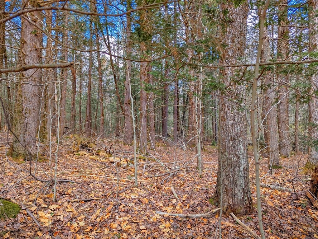 0 Bonny Rigg Hill Rd, Becket MA 01223 photo 14