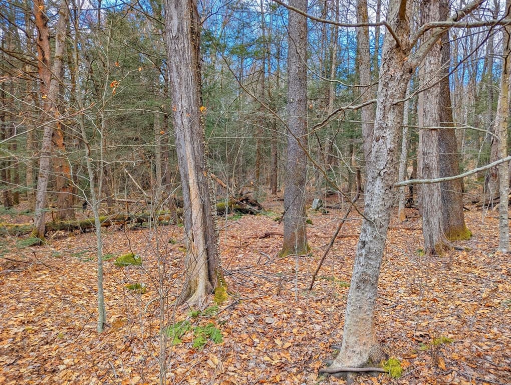 0 Bonny Rigg Hill Rd, Becket MA 01223 photo 8