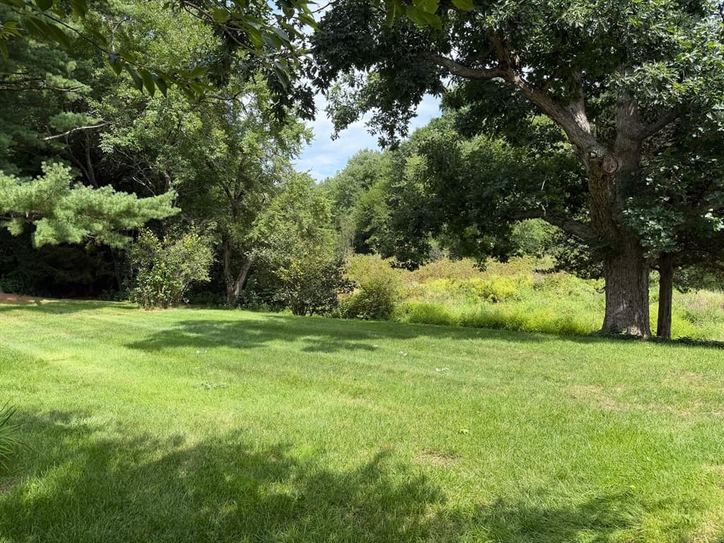 10 Shady Ln, Wilbraham MA 01095 photo 22