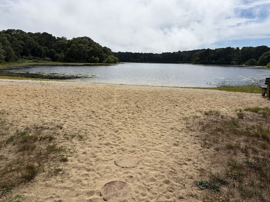 236 Blueberry Pond Dr, Brewster MA 02631 photo 39