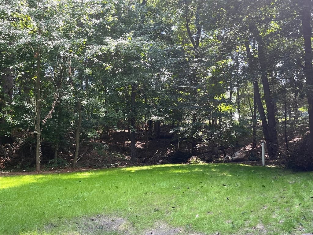 5 Carbrey Avenue, Sharon MA 02067 photo 37