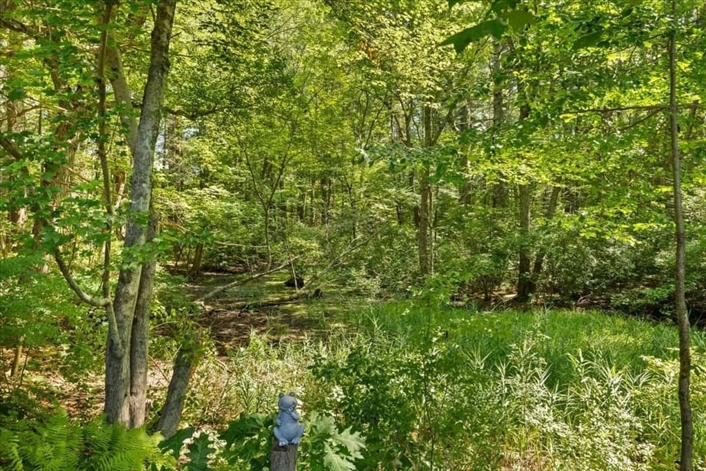 20 Feather Run, Taunton MA 02780 photo 34