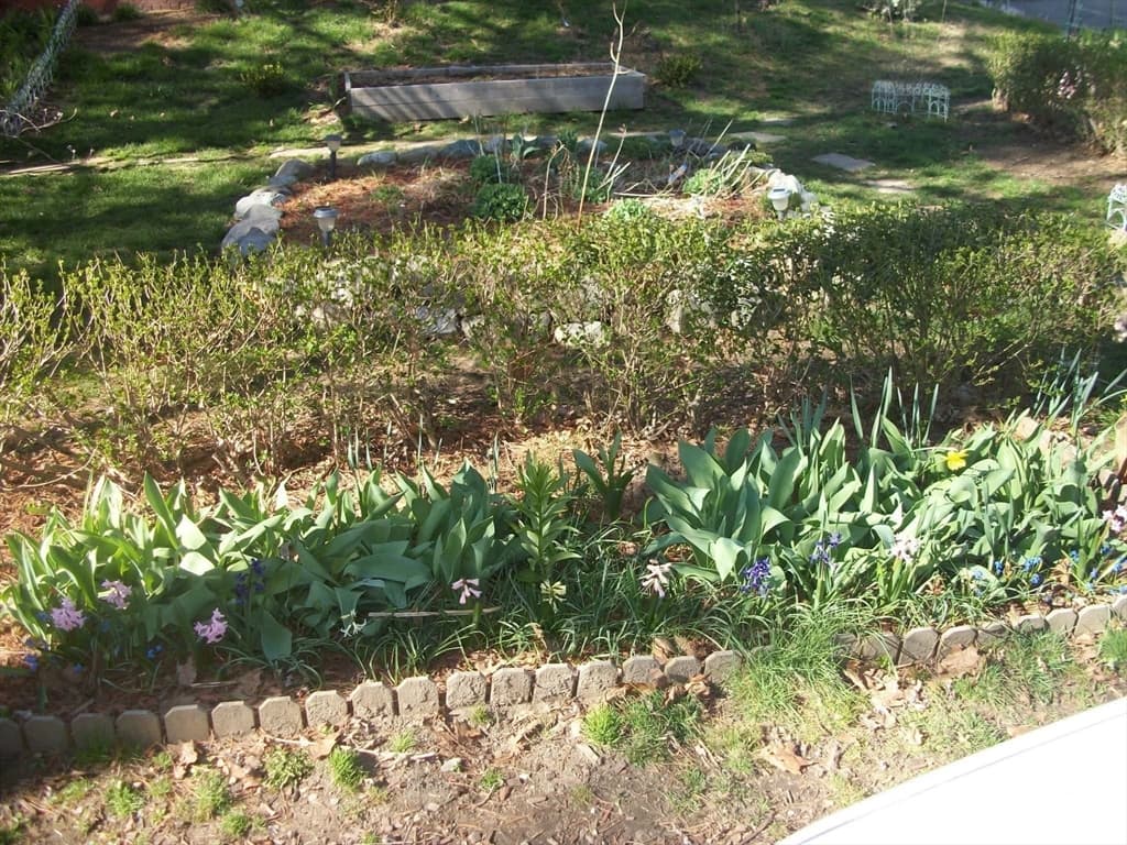 Single Family Residence at 15R & 15 Lambert Ave, Chelsea MA 02150, Chelsea, photo 6 of 14