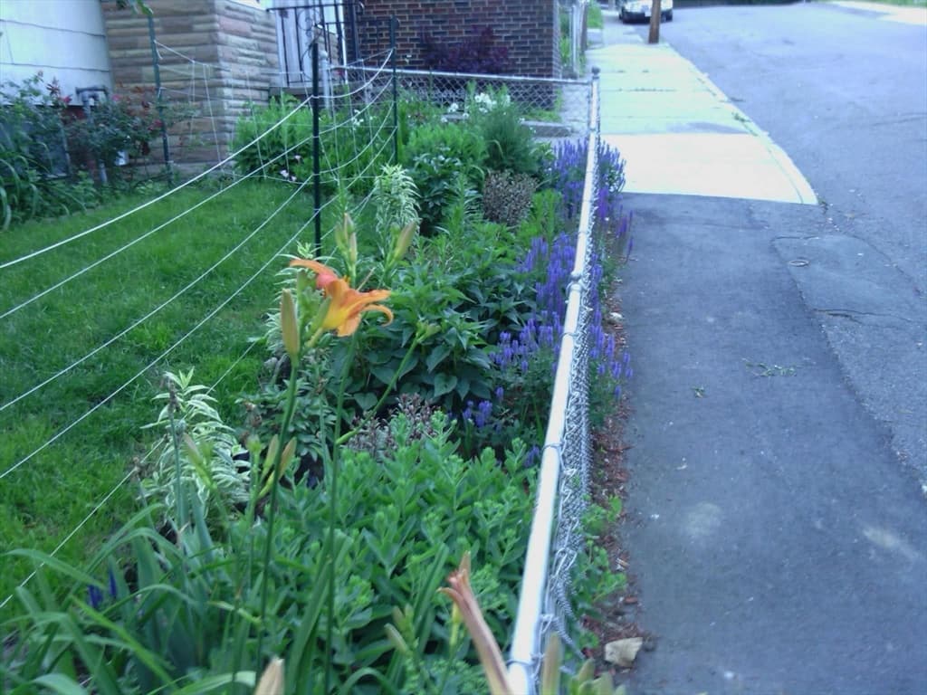 Single Family Residence at 15R & 15 Lambert Ave, Chelsea MA 02150, Chelsea, photo 5 of 14