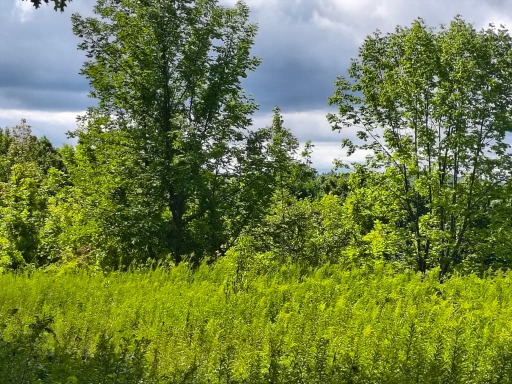 Residential at lot A/B Goss Hill, Huntington MA 01050, Huntington, photo 6 of 11