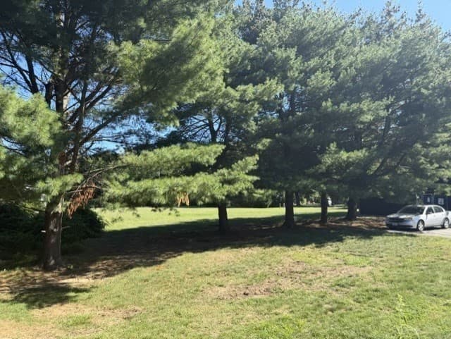 Condominium at 60 Pattison St # C14, Abington MA 02351, Abington, photo 38 of 39