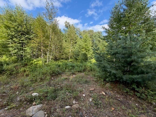 Residential at Lot 121 Davis Mine Rd, Rowe MA 01367, photo 13 of 23