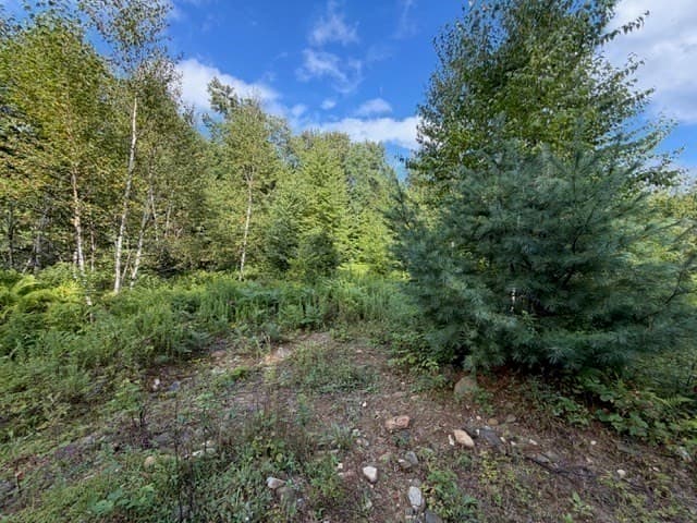 Residential at Lot 121 Davis Mine Rd, Rowe MA 01367, photo 16 of 23