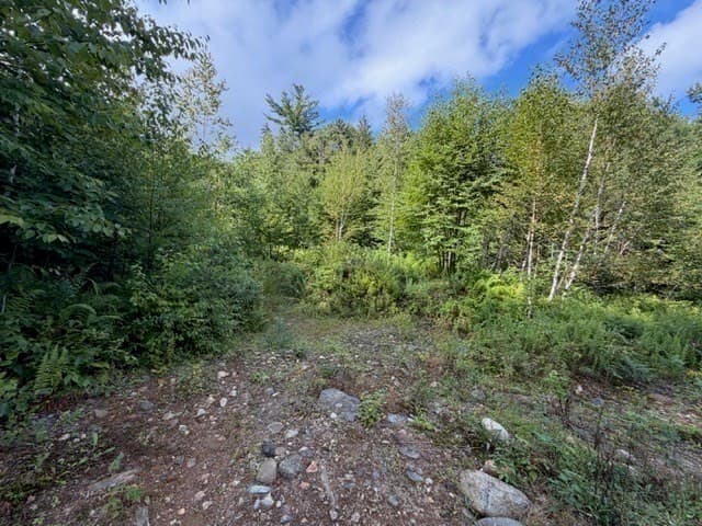 Residential at Lot 121 Davis Mine Rd, Rowe MA 01367, photo 12 of 23