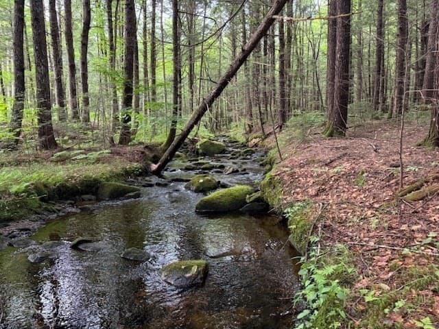 Residential at Lot 121 Davis Mine Rd, Rowe MA 01367, photo 3 of 23