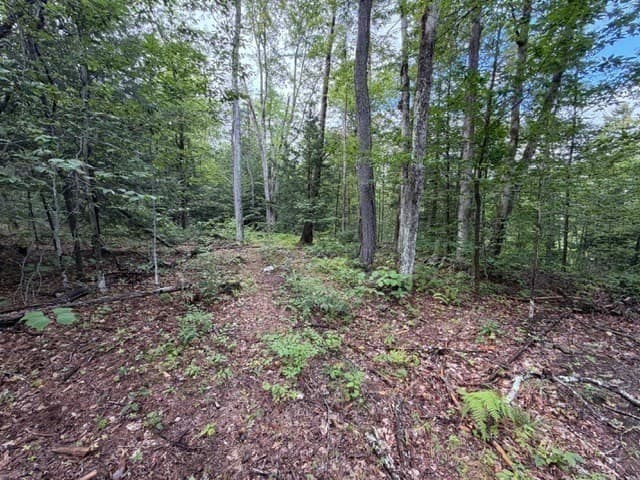 Residential at Lot 121 Davis Mine Rd, Rowe MA 01367, photo 10 of 23